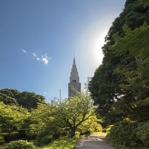 Shinjuku's Docomo tower overlooking the Upper Pond and the pine