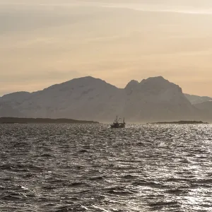 Ship, backlit, Lofoten, Norway, Europe Ship, backlit, Lofoten, Norway, Europe