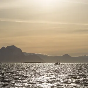 Ship, backlit, Lofoten, Norway, Europe Ship, backlit, Lofoten, Norway, Europe