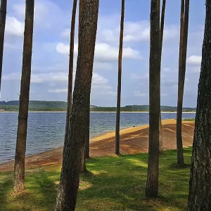 Côte calme avec forêts d'arbres élancés et vue sur lac paisible, Ramsberg, Bavière, Allemagne