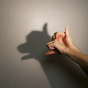 Silhouette shadow of dog or bear from young womans hands