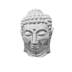 Silver Buddha head isolated on white