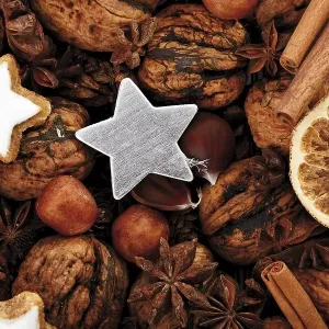 Silver star with Christmas decoration