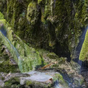 Sintered rock overgrown with mosses
