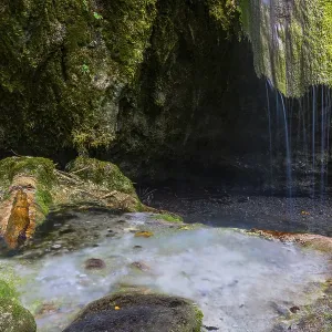 Sinterstein with mosses, Hinanger waterfalls