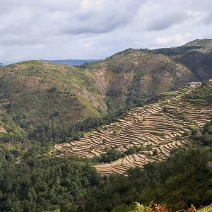 Sistelo, Portugal: Aerial View of the Agricultural Terraces (famous Tibet style mountain landscape) - Hiking