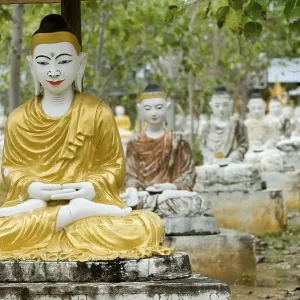 Sitting Buddha statues beneath a Bodhi tree Sitting Buddha statues beneath a Bodhi tree