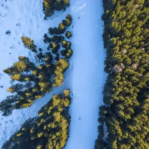 Aerial View Ski Resort Print: Spruce Forest Slopes