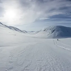 Ski tourer with pulka in the snow Ski tourer with pulka in the snow