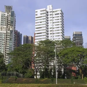 Several skyscrapers rise above a green expanse of lush trees under a clear blue sky Several skyscrapers rise above a green expanse of lush trees under a clear blue sky