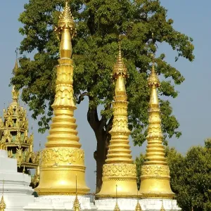Slim golden stupas Shwedagon Pagoda Yangon Burma