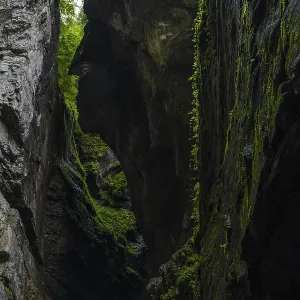 Small bridge leads over the gorge