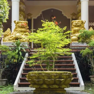 A small bright green tree in front of a Buddhist temple A small bright green tree in front of a Buddhist temple