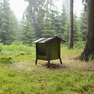 Small deer feeding house in a forest surrounded by tall trees and green undergrowth Small deer feeding house in a forest surrounded by tall trees and green undergrowth