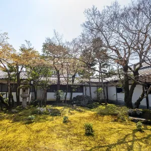 Small Japanese garden with moss Small Japanese garden with moss