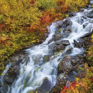 Small mountain stream with colourful vegetation in autumn Small mountain stream with colourful vegetation in autumn