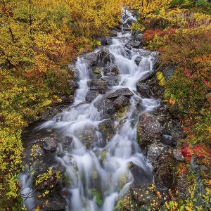 Small mountain stream with colourful vegetation in autumn