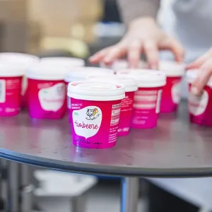 Small pink ice-cream tubs stand on a table