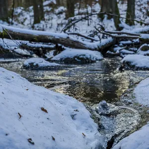 A small stream flows through a forest in winter A small stream flows through a forest in winter