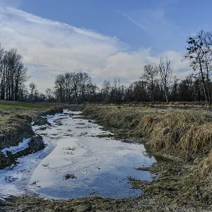A small stream flows through a wintry meadow A small stream flows through a wintry meadow