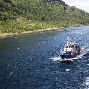 Small tourist boat in mountainous fiord landscape