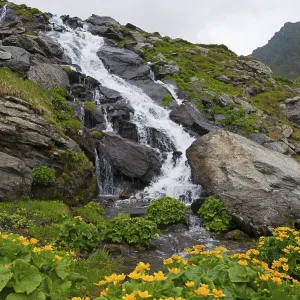 A small waterfall flows over boulders in a green A small waterfall flows over boulders in a green
