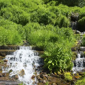 Small waterfall with lush green vegetation and rocky surroundings