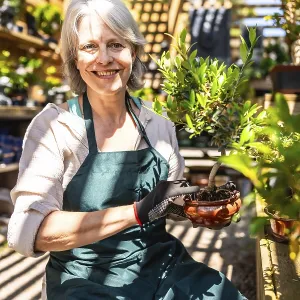 Smiling senior gardener woman wearing gloves and apron holding bonsai plant while working in greenhouse Smiling senior gardener woman wearing gloves and apron holding bonsai plant while working in greenhouse