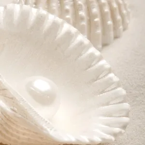 A smooth pearl inside an open seashell resting on beige sand