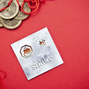Snake zodiac card with Chinese character on a red background with coins