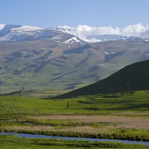 Snow-capped mountains rise above a green valley while the sky is clear and blue Snow-capped mountains rise above a green valley while the sky is clear and blue