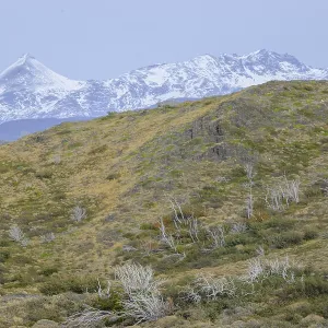 Patagonia Landscape Print Patagonia Landscape Print