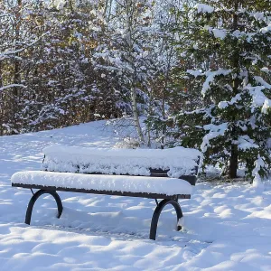 Snow-covered bench in the winter forest