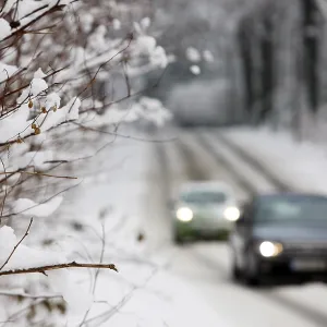 Snow-covered country road in a forest