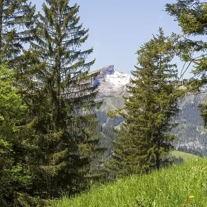 Snow-covered mountain peak of the Hoher Ifen Snow-covered mountain peak of the Hoher Ifen
