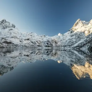 Snow covered mountains reflecting in the Trollfjord