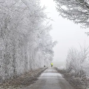 Snow-covered path with icy trees and a person in a yellow coat walking in the distance