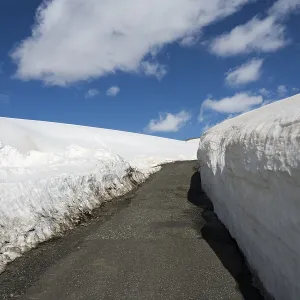 Snow-covered path leading through a white snowy landscape under a blue sky