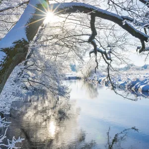 Snow-covered river landscape with trees