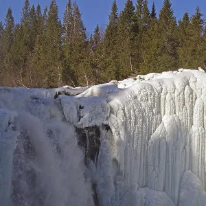 Snow-covered trees surround a frozen waterfall with impressive ice structures Snow-covered trees surround a frozen waterfall with impressive ice structures