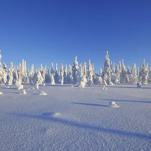 Snow covered winter landscape, Haataja Snow covered winter landscape, Haataja
