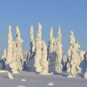 Snow covered winter landscape, Haataja Snow covered winter landscape, Haataja