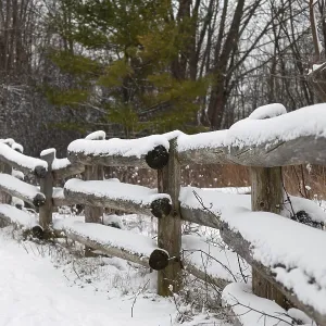 Snow-covered wooden fence in a wintry forest setting with calm atmosphere in London