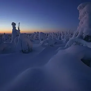 Snow Landscape Print, Kuntivaara Finland