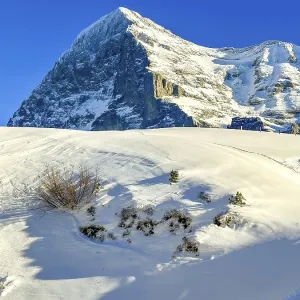 Snowcapped Mountain Peak Eiger North Face at 3970 Meter High in a Sunny Winter Day with Blue Sky in Grindelwald Snowcapped Mountain Peak Eiger North Face at 3970 Meter High in a Sunny Winter Day with Blue Sky in Grindelwald