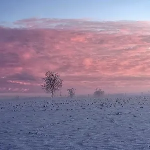 A snowy field under a pink sky at sunset A snowy field under a pink sky at sunset