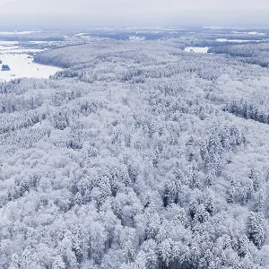 Snowy forest landscape seen from the air with dense trees