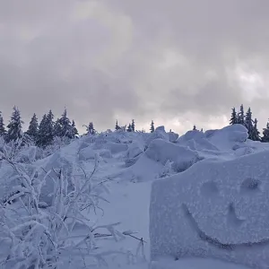 Snowy forest with a smiley face drawn in snow under a cloudy sky