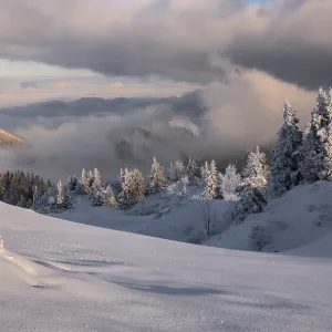 Snowy forest during sunset, the peaceful winter landscape enchants the Chiemgau Alps