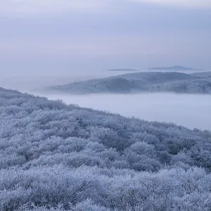 Snowy hills with trees and gentle fog in the distance Snowy hills with trees and gentle fog in the distance